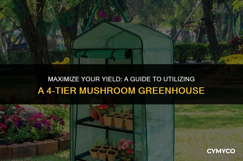 how to use a 4 tier 5 ft mushroom greenhouse