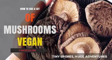 Exploring the Umami Universe: Vegan Delights with an Abundance of Mushrooms