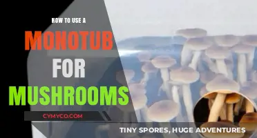 Exploring the Monotub Method: A Beginner's Guide to Growing Mushrooms