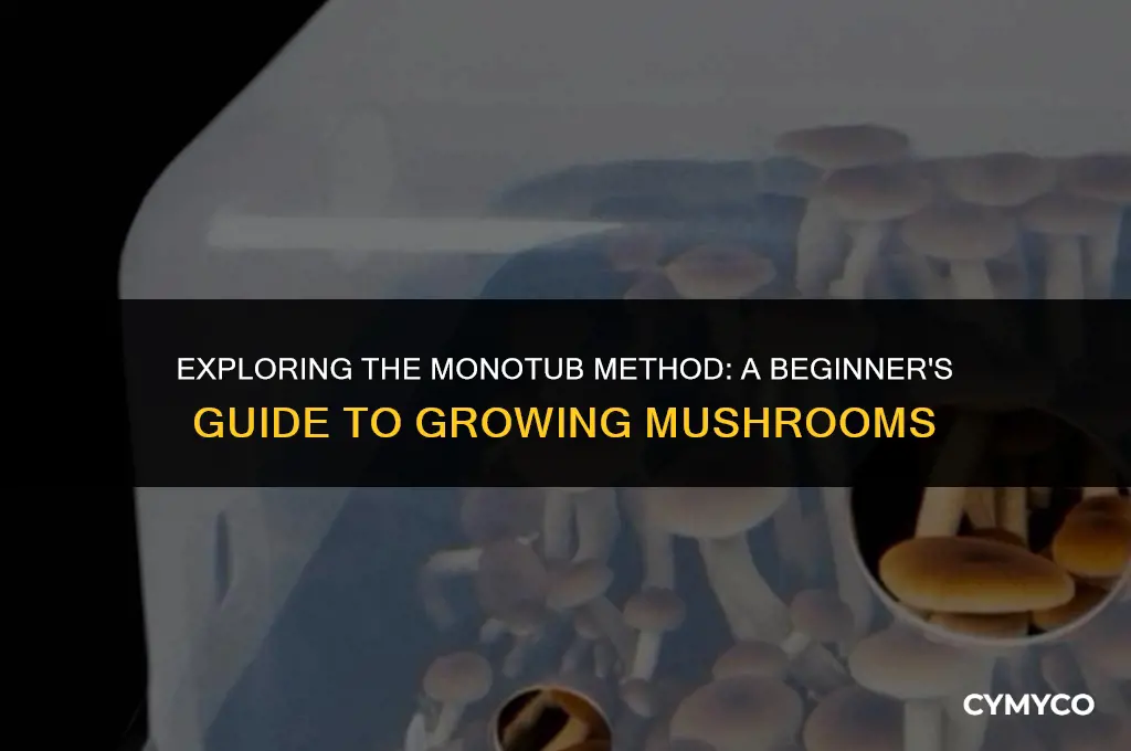 how to use a monotub for mushrooms