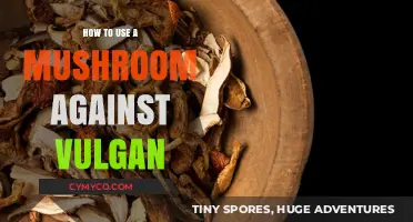Combatting Vulgarity: The Surprising Power of Mushrooms