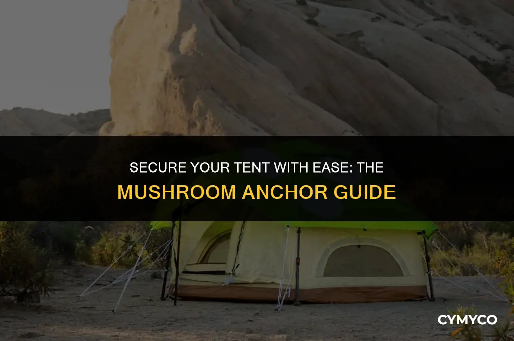 how to use a mushroom anchor