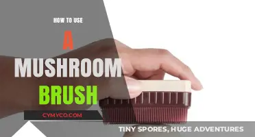 Mastering the Art of Mushroom Cleaning: A Brush's Guide