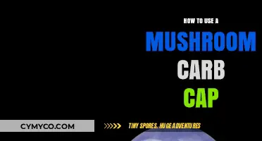 Exploring the Stoner's Guide to Mushroom Carb Caps