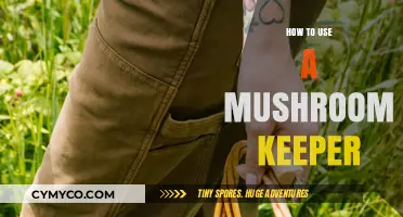 Essential Tips for Using a Mushroom Keeper to Preserve Freshness