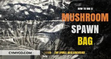 Unlocking the Secrets of Mushroom Spawn Bags: A Beginner's Guide