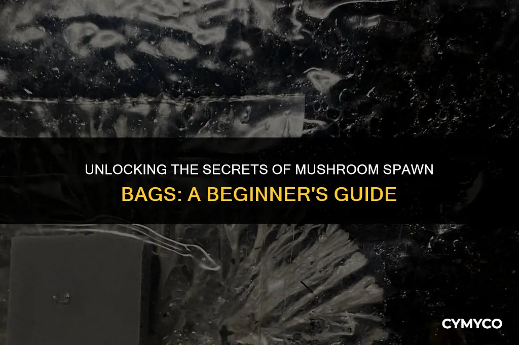 how to use a mushroom spawn bag