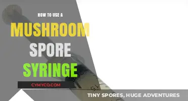 Unlocking the Secrets of Mushroom Cultivation: A Spore Syringe Guide
