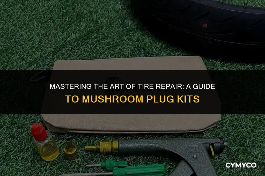 how to use a mushroom tire plug kit