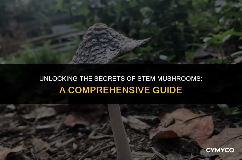 how to use a stem mushroom