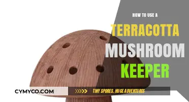 Terracotta Mushroom Keeper: A Guide to Optimal Use and Care