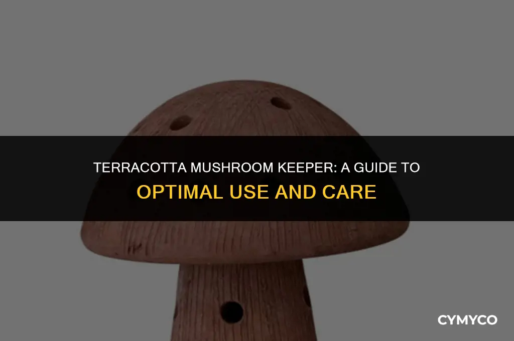how to use a terracotta mushroom keeper