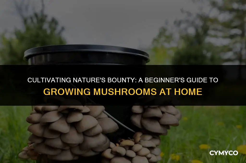 how to use back to the roots mushroom kit