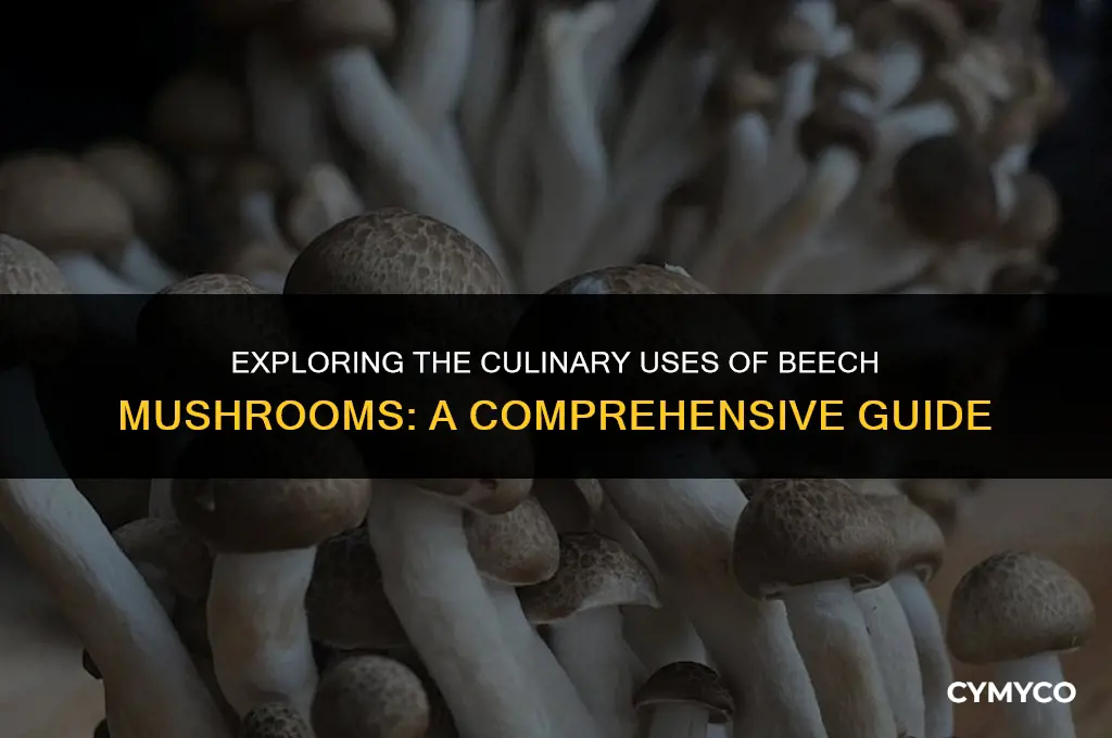 how to use beech mushrooms