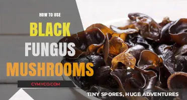 Exploring the Culinary Uses of Black Fungus Mushrooms