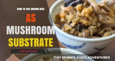 Cultivating Mushrooms on Brown Rice: A Beginner's Guide