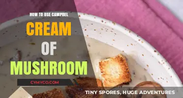 Delicious Ways to Use Campbell's Cream of Mushroom Soup
