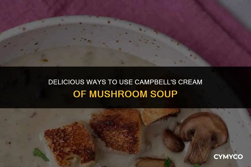 how to use campbel cream of mushroom