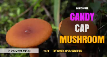 Sweet and Savory: Exploring the Versatility of Candy Cap Mushrooms