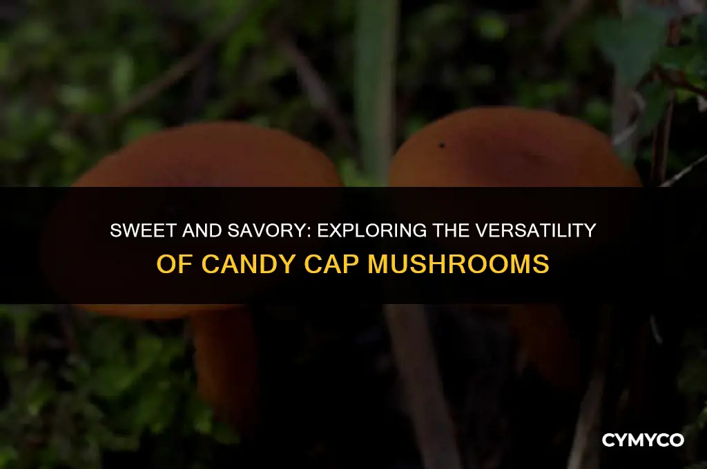 how to use candy cap mushrooms