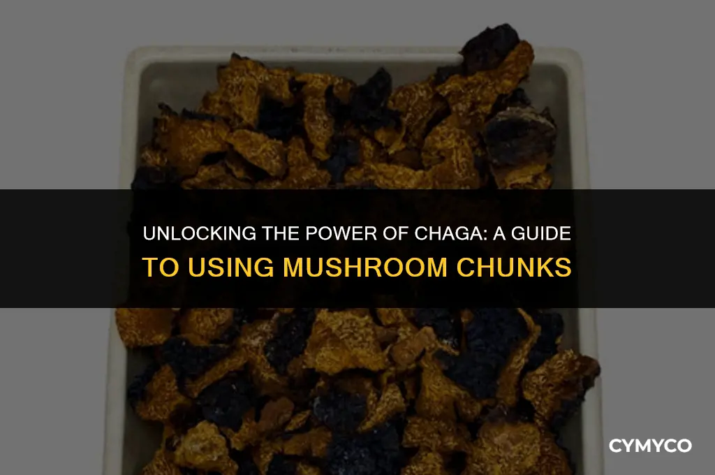 how to use chaga mushroom chunks