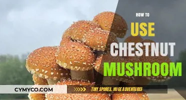 Exploring Culinary Delights: A Guide to Using Chestnut Mushrooms