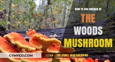 Exploring the Culinary Uses of Chicken of the Woods Mushrooms