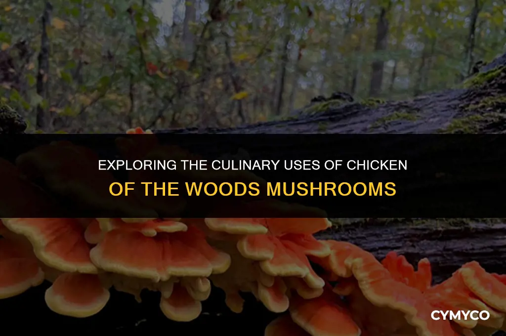 how to use chicken of the woods mushrooms