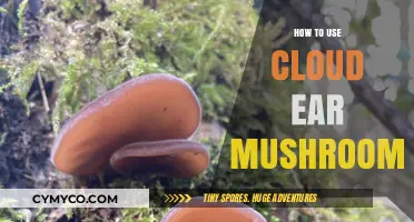 Exploring Culinary Delights: A Guide to Using Cloud Ear Mushrooms