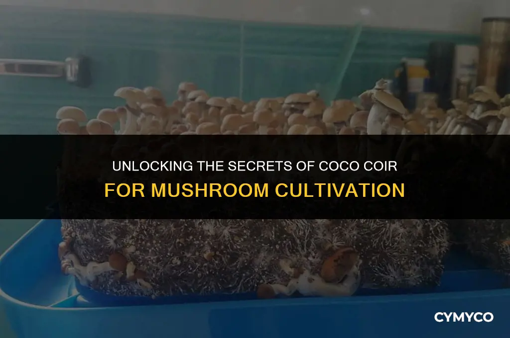 how to use coco coir for mushrooms