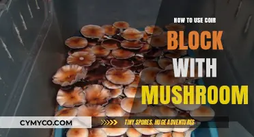 Cultivating Mushrooms on Coir Blocks: A Comprehensive Guide