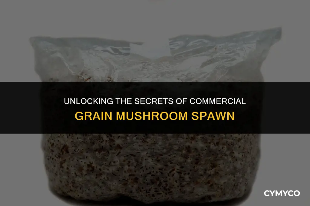 how to use commercial grain mushroom spawn