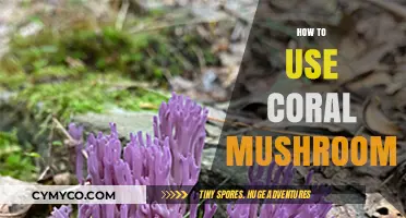 Exploring the Culinary Uses of Coral Mushrooms: A Comprehensive Guide