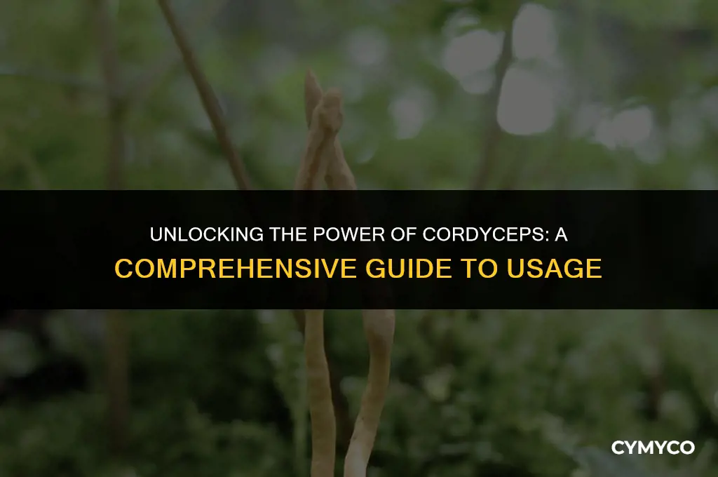how to use cordyceps mushroom