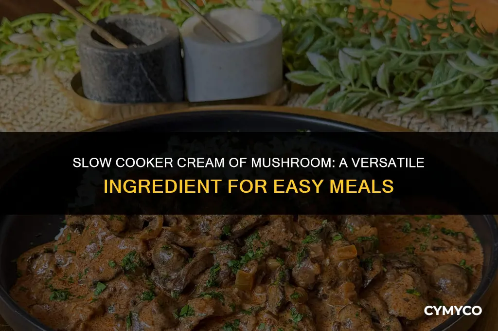 how to use cream of mushroom in crock pot