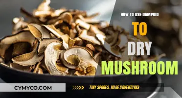 Reviving Your Mushrooms: The DampRid Drying Technique