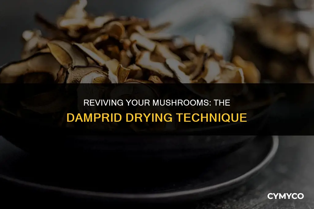 how to use damprid to dry mushrooms
