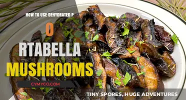 Reviving Flavor: The Art of Using Dehydrated Portabella Mushrooms