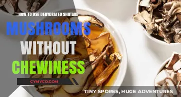 Reviving Umami: Tips to Avoid Chewy Dehydrated Shiitake Mushrooms