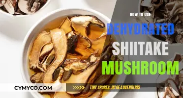 Reviving Umami: The Art of Using Dehydrated Shiitake Mushrooms