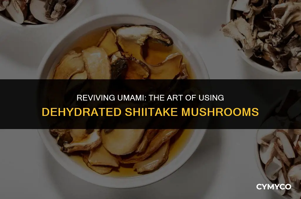 how to use dehydrated shiitake mushrooms
