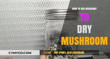 Drying Mushrooms with Desiccant: A Beginner's Guide
