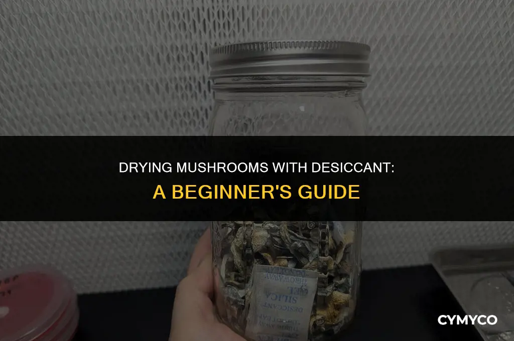 how to use dessicant to dry mushrooms
