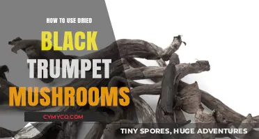 Exploring the Rich Flavors: How to Use Dried Black Trumpet Mushrooms
