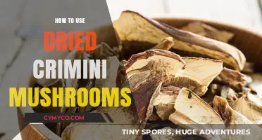 Unlocking Umami: A Guide to Using Dried Crimini Mushrooms