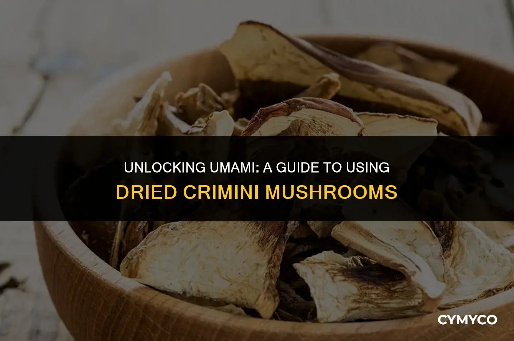 how to use dried crimini mushrooms