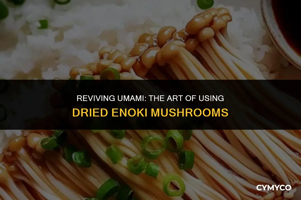 how to use dried enoki mushrooms