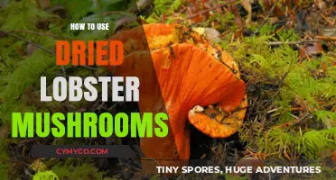 Savor the Umami: A Guide to Using Dried Lobster Mushrooms