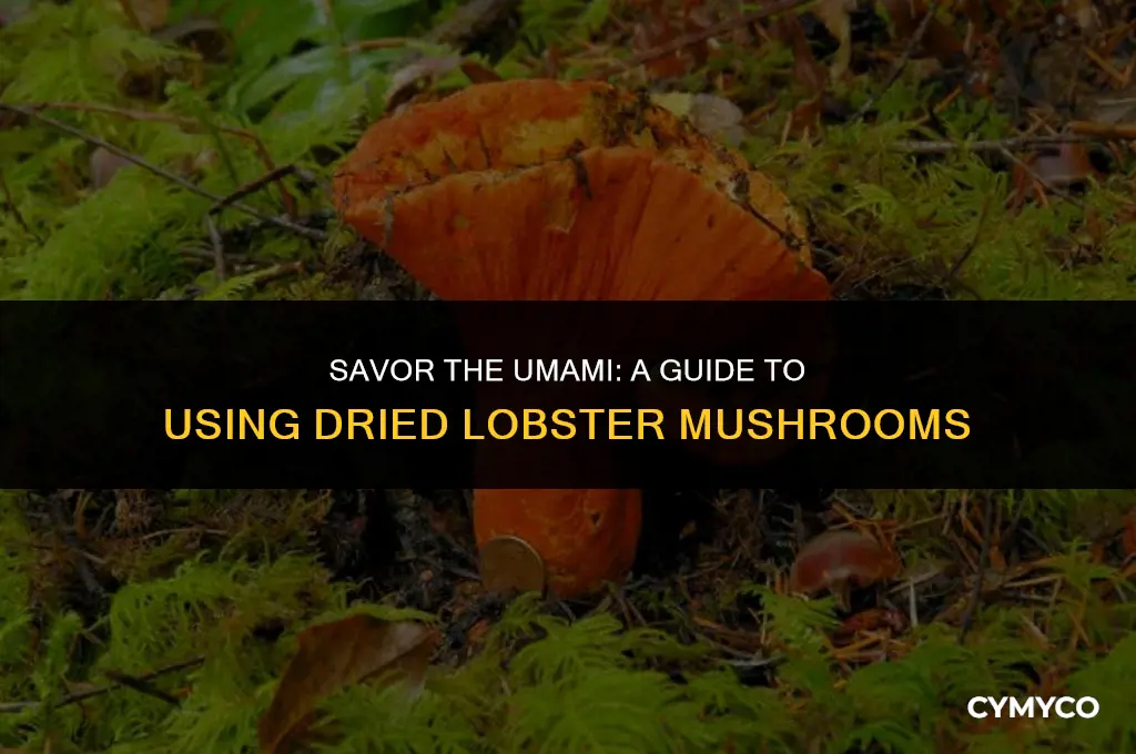 how to use dried lobster mushrooms