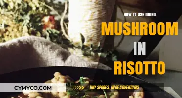 Savor the Flavor: Dried Mushrooms in Risotto